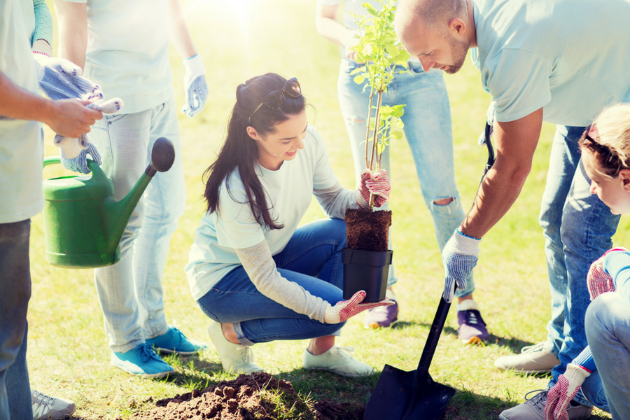 How volunteering and corporate responsibility improve your business and community